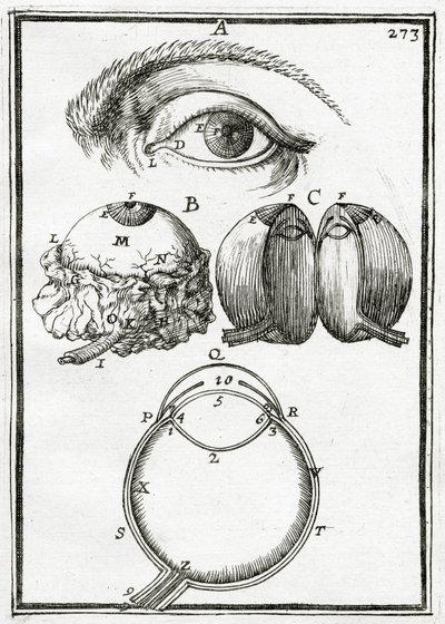 Illustration from La Geometrie Pratique by Alain Manesson Mallet